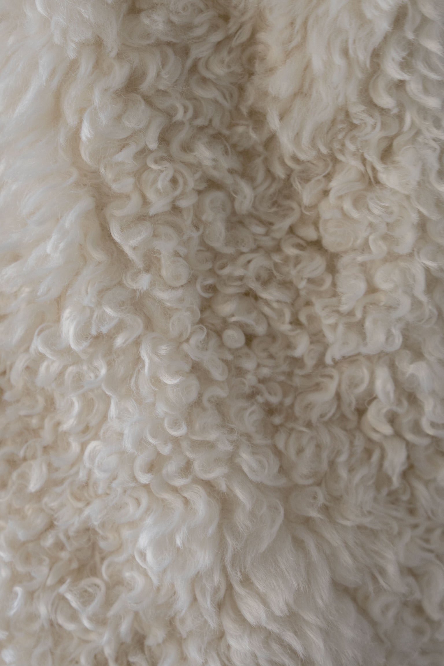 teddy loop coat – Acka online store