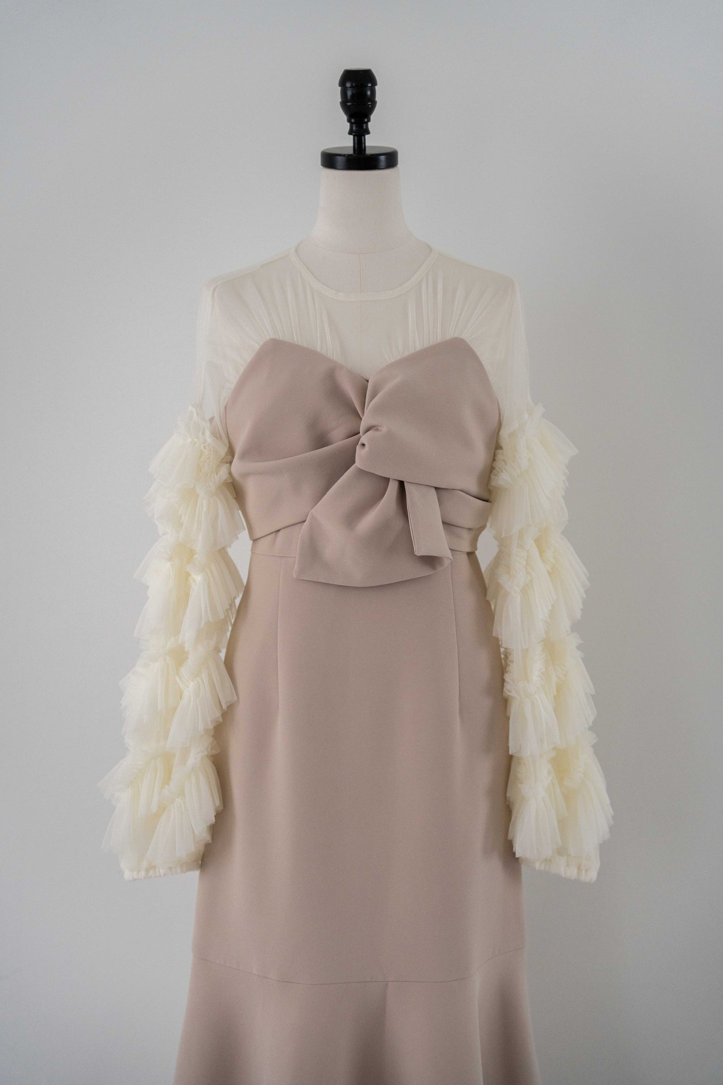 sheer tulle sleeve dress