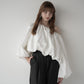 volume balloon blouse