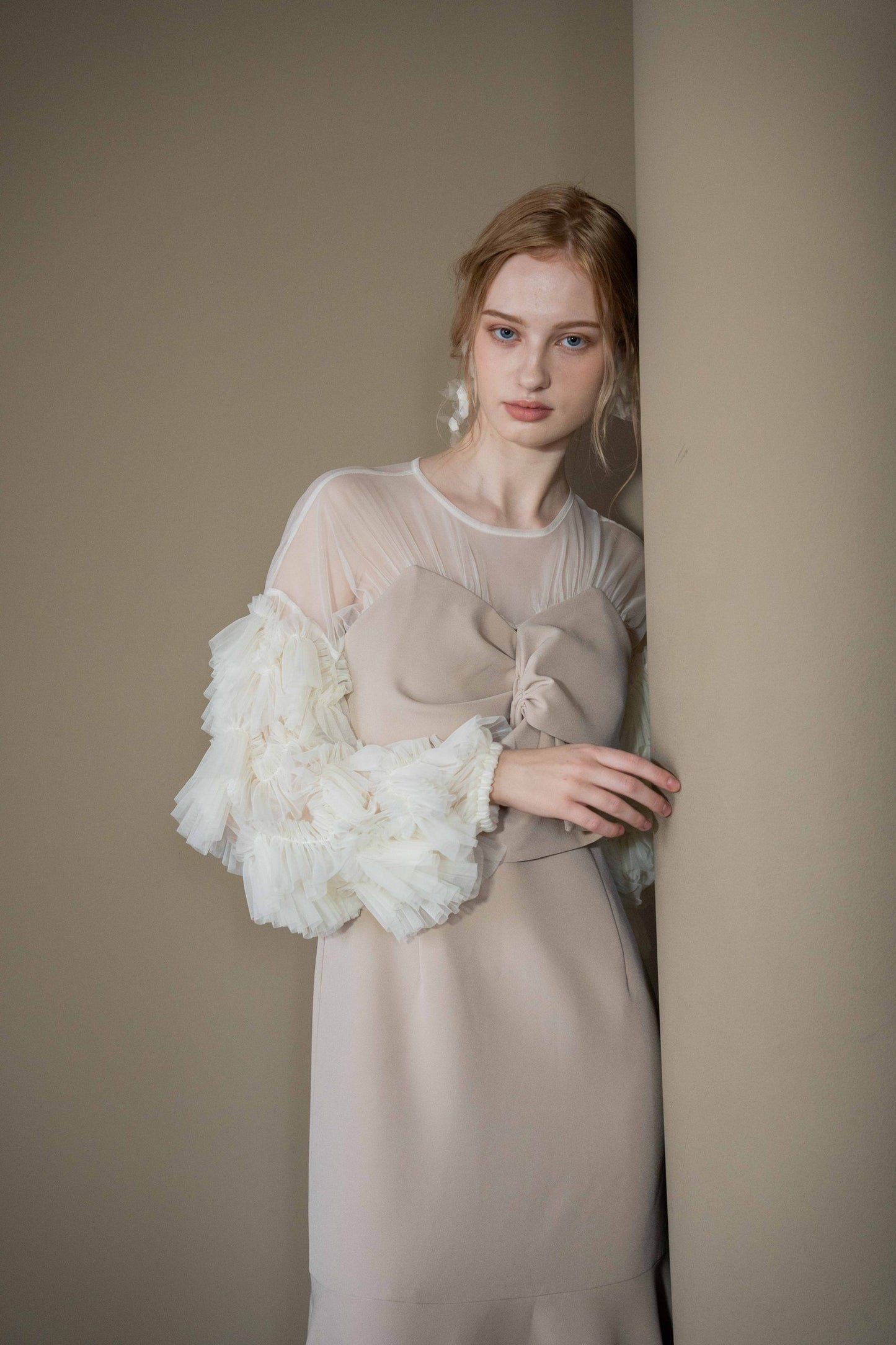 sheer tulle sleeve dress
