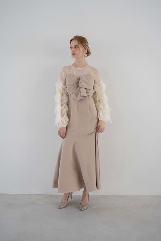 sheer tulle sleeve dress